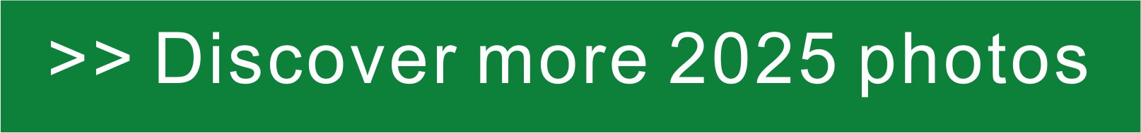 ECOMONDO CHINA- CDEPE 2025 POST SHOW REPORT